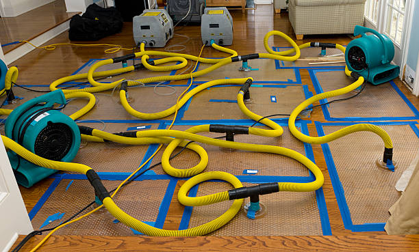 Professional Structural Drying And Dehumidification technician working in Rye, NY